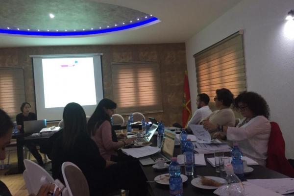 HAMLET, 2nd Steering Committee and project meeting on 31 October in Cetinje, Montenegro